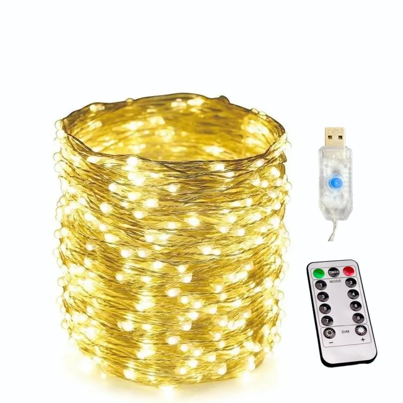 USB Fairy String Lights with Remote, 20 m and 30 m, 8 Modes
