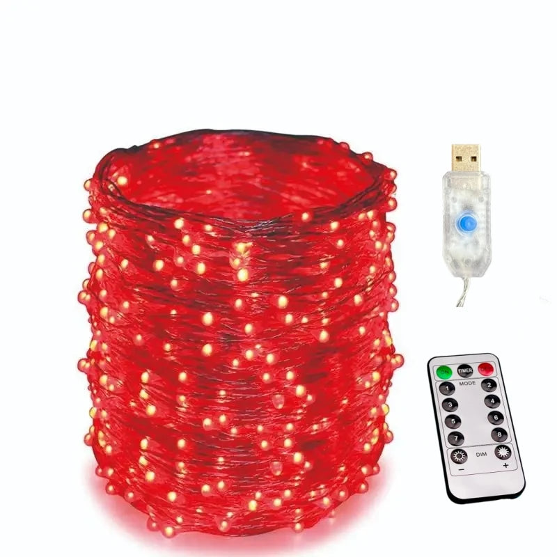 USB Fairy String Lights with Remote, 20 m and 30 m, 8 Modes