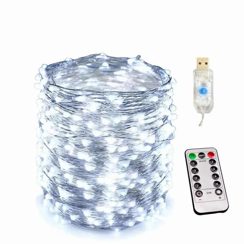 USB Fairy String Lights with Remote, 20 m and 30 m, 8 Modes