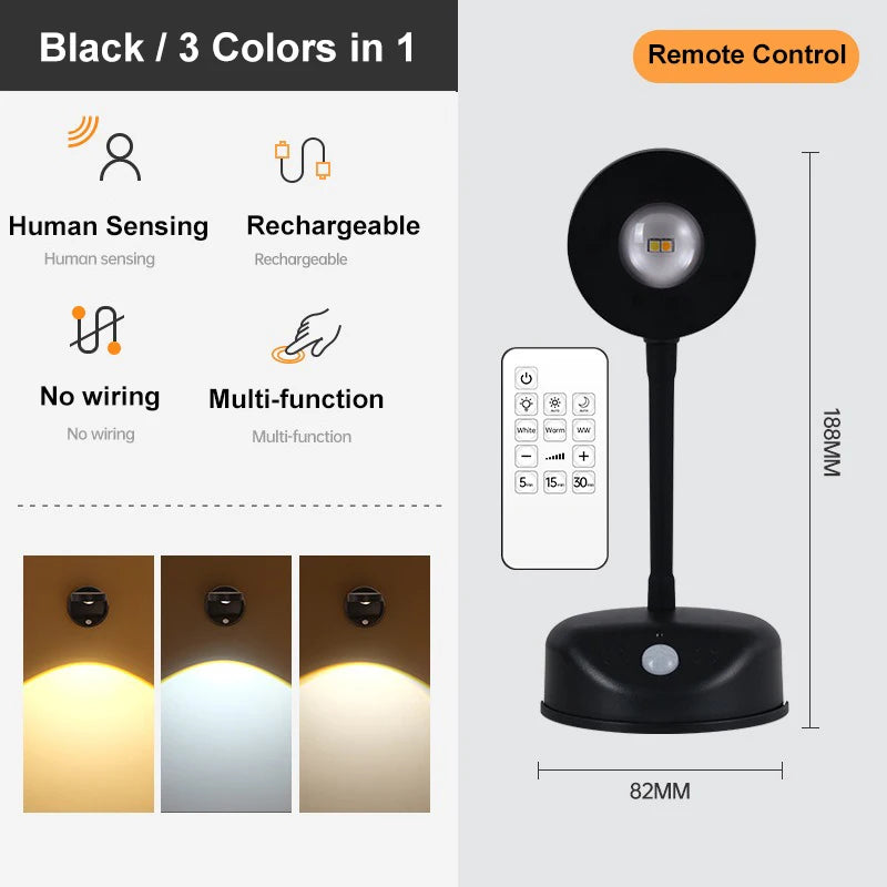 Rechargeable Wall Spotlight for Art, Remote or Motion Sensor