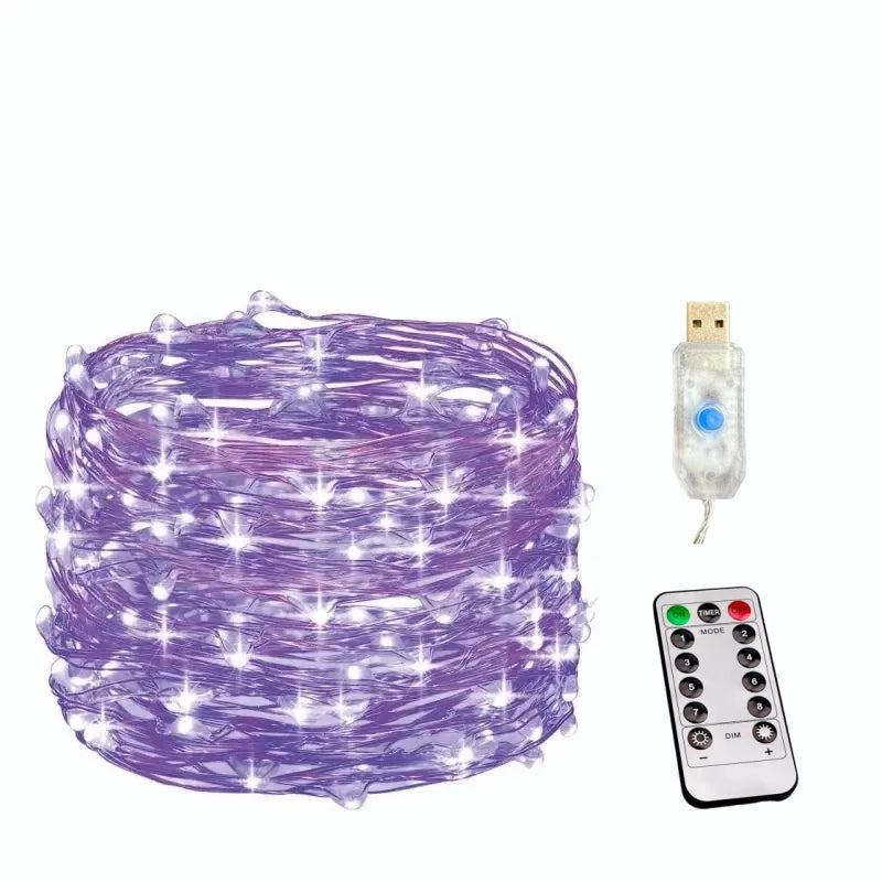 USB Fairy String Lights with Remote, 20 m and 30 m, 8 Modes